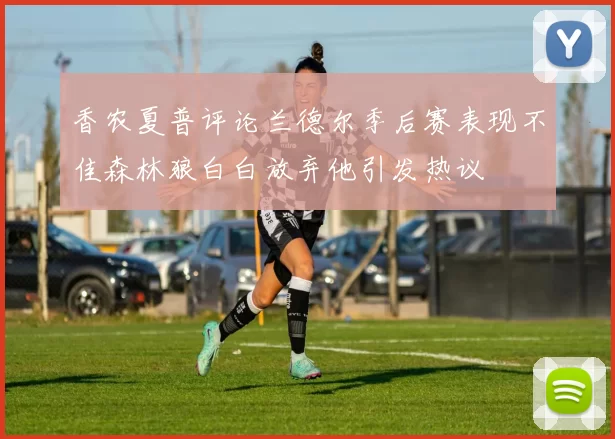 香农夏普评论兰德尔季后赛表现不佳森林狼白白放弃他引发热议